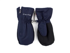 En Fant mittens parisian night